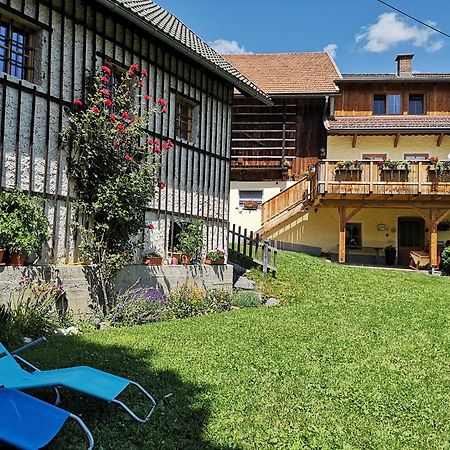 Entschleunigungshof Huberbauer Appartement Kotschach-Mauthen Buitenkant foto